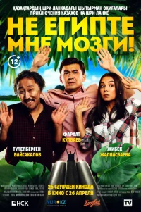  Не египте мне мозги! 