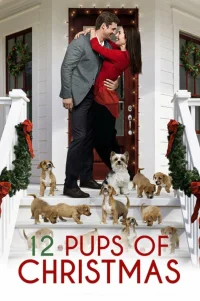  12 щенков Рождества 