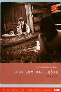  Если бы у меня было ружье 