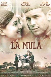  Мул 