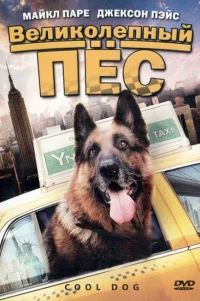  Великолепный пес 