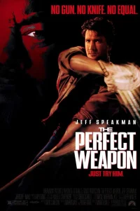  Совершенное оружие 