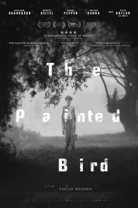  Раскрашенная птица 