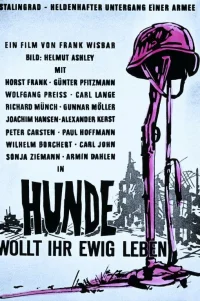  Собаки, хотите жить вечно? 